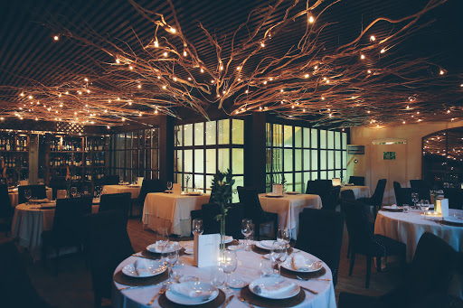 Mauro Eventos
